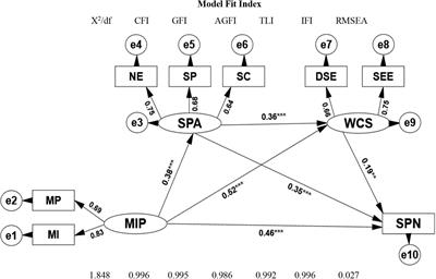 Research on the Influence of Media Internalized Pressure on College Students’ Sports Participation—Chained Intermediary Analysis of Social Physique Anxiety and Weight Control Self-Efficacy